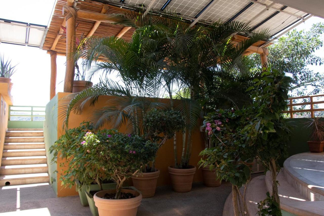 Mboutique Hotel Sayulita Exteriér fotografie